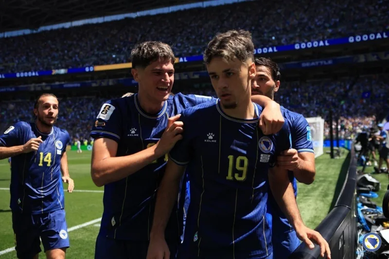 Alajbegovic nfsbih