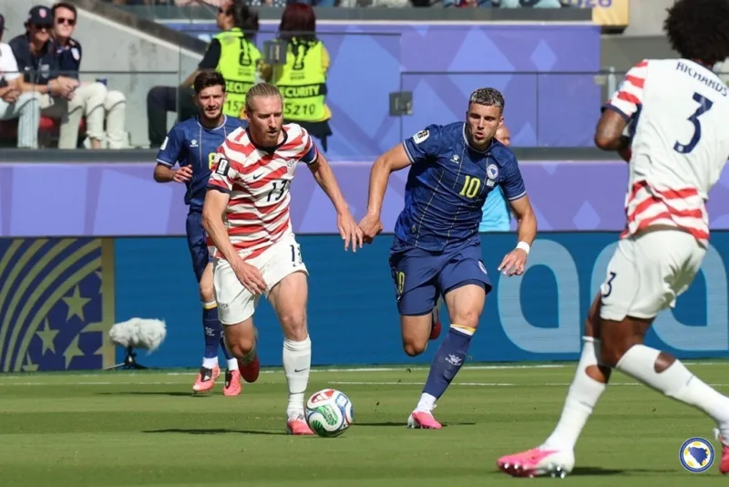 Demirovic nfsbih