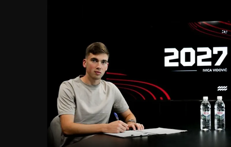 Vidovic zrinjski