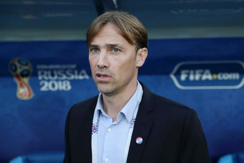 Dario simic fifa
