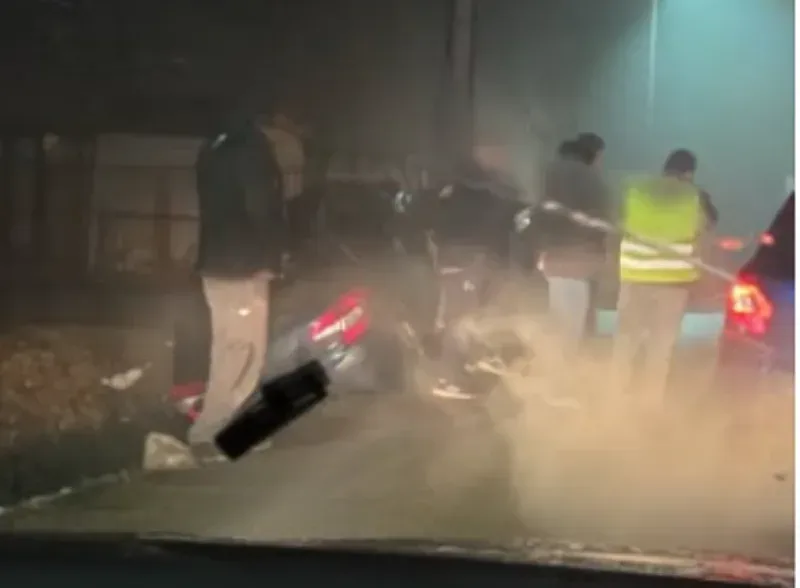 Delije torcida