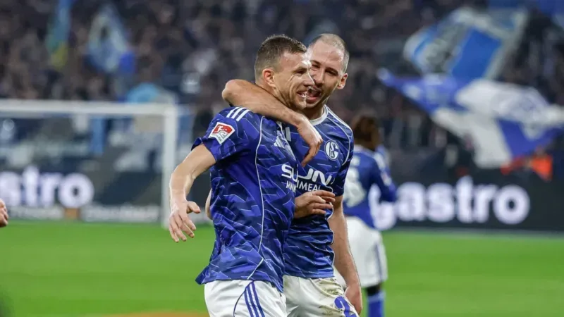 Dzeko katic 0912