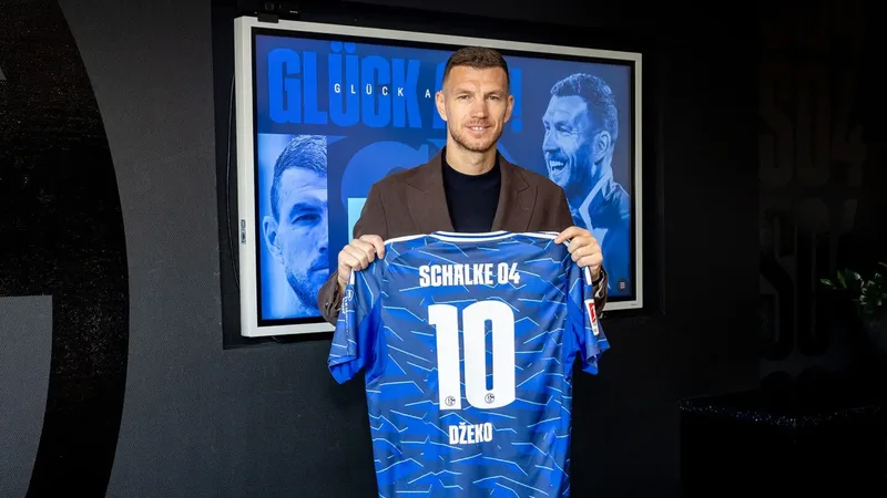 Dzeko schalke