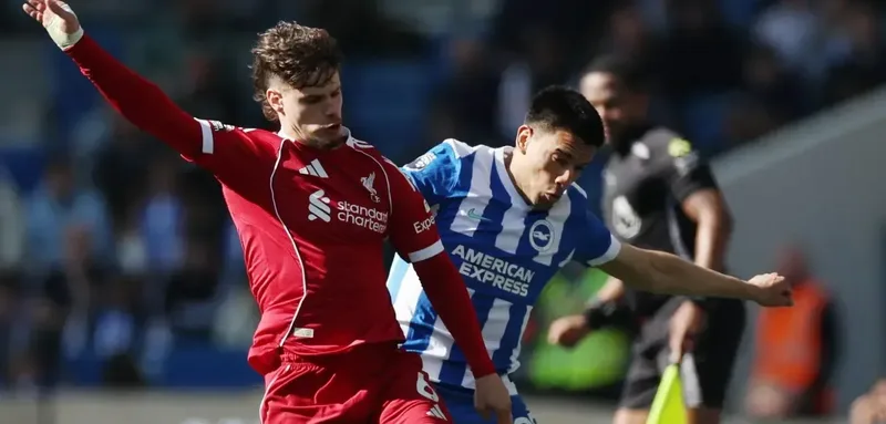 Liverpool brighton