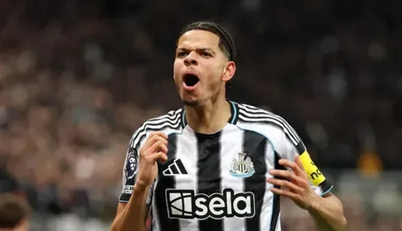 Newcastle osula