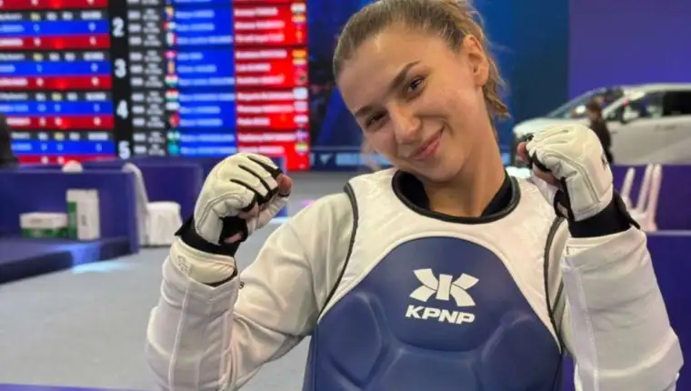Dzejna hamzic
