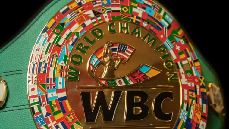 Wbc 6
