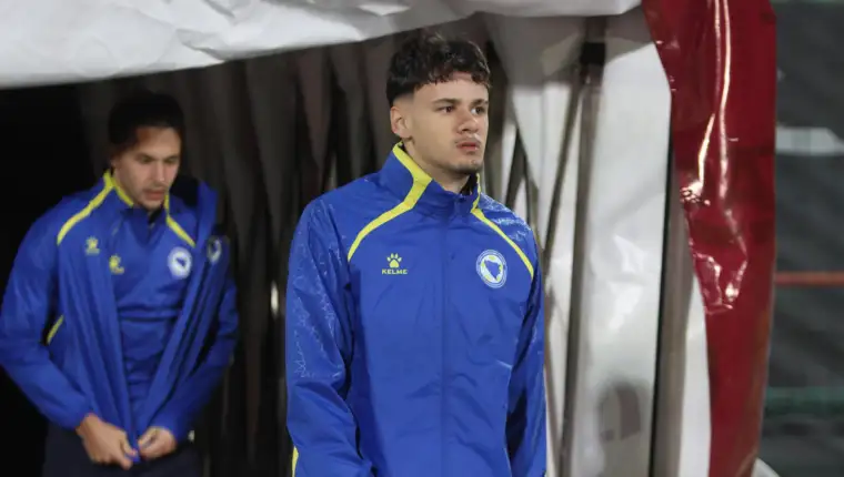 Alajbegovic