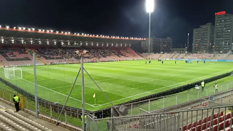 Zenica bilino pojle 4
