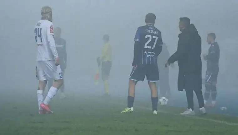Zeljo sirokog
