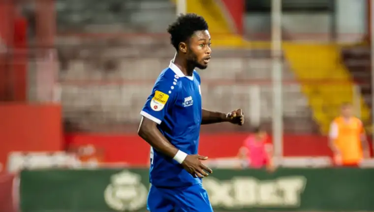 Owusu surdulica 3