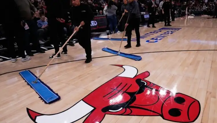 Bulls