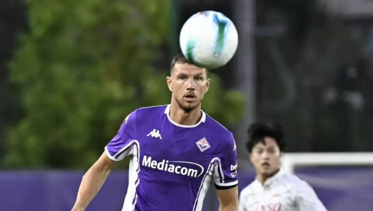 Dzeko 345