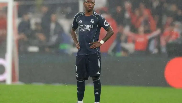 Vini