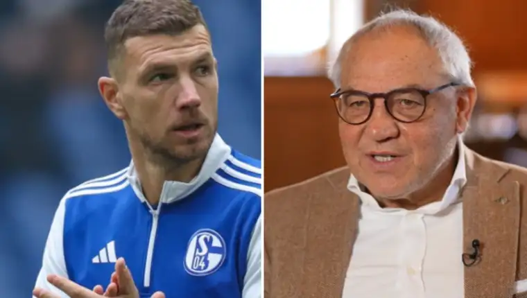 Dzeko magath 1