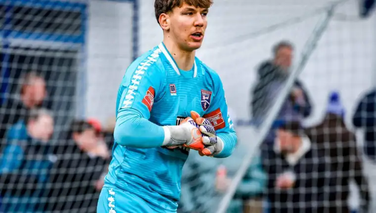 Dino kaiser
