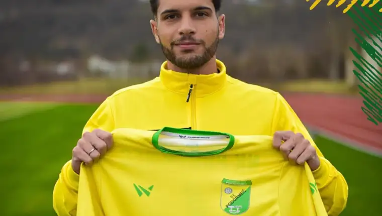 Arajuo costa