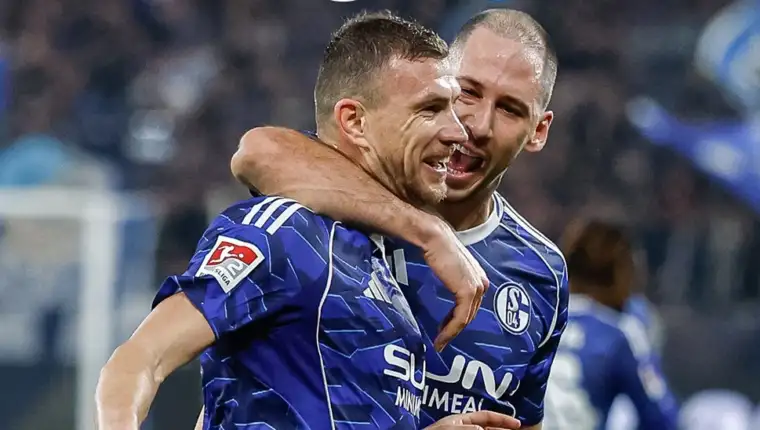 Dzeko katic 312
