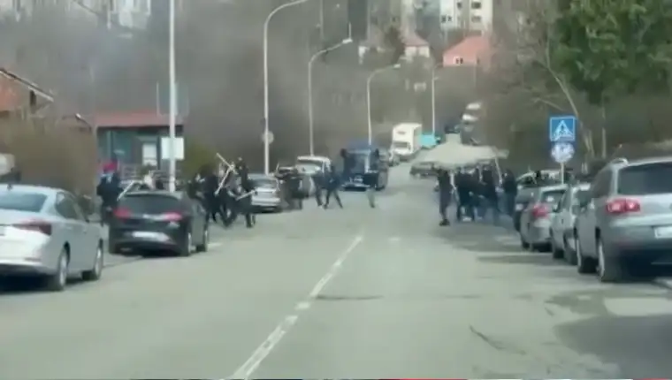 Grobari delije