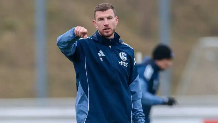 Dzeko 456