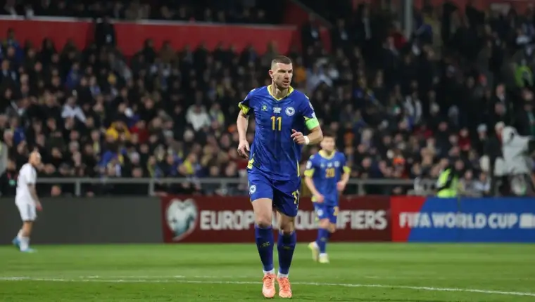 Dzeko fena