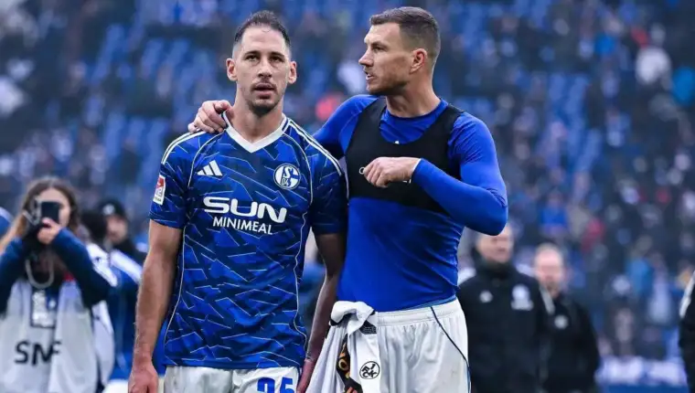 Dzeko katic 231