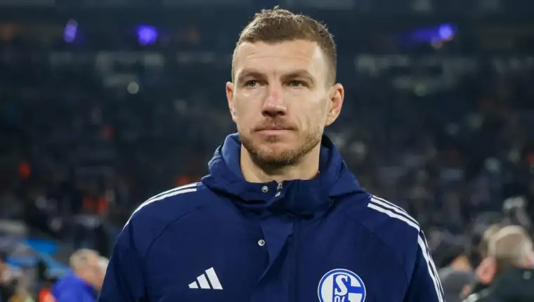 Dzeko 218321