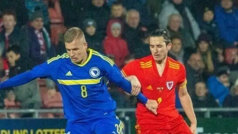 Danilovic 12
