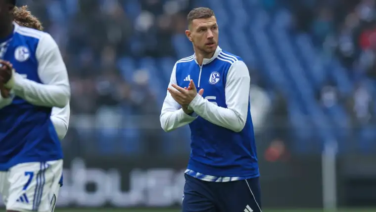 Dzeko0293