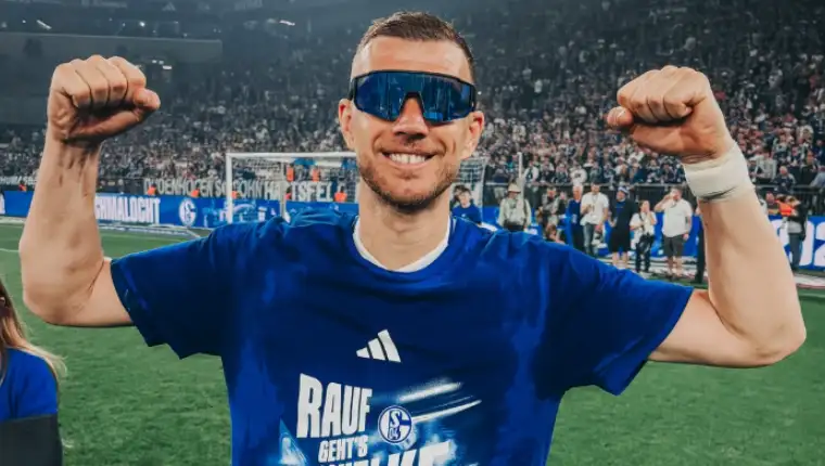 Dzeko 231