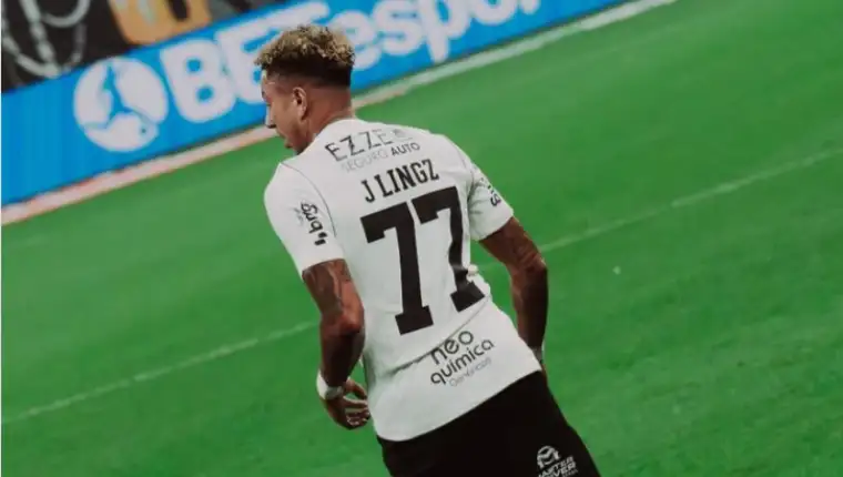 Lingz 1