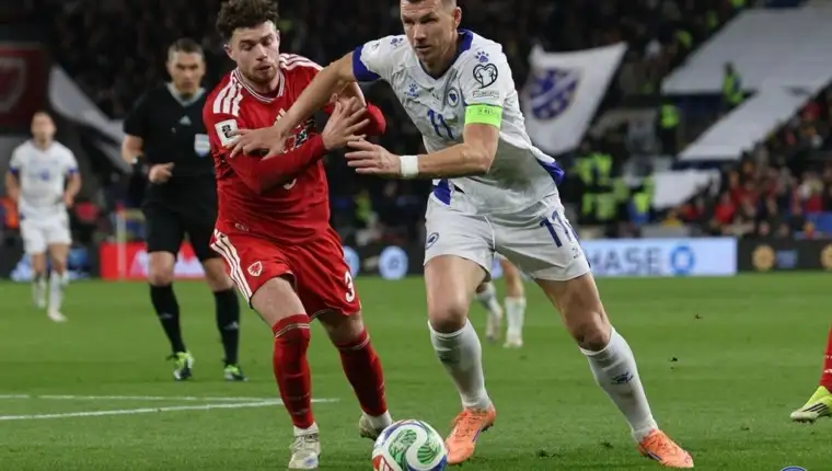 Dzeko nfsbih