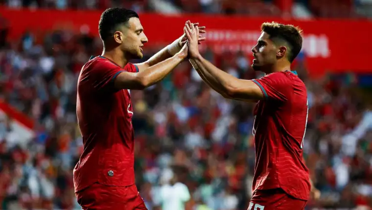 Portugal dalot neto