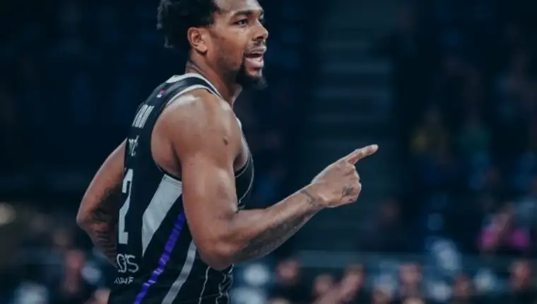 Brown partizan