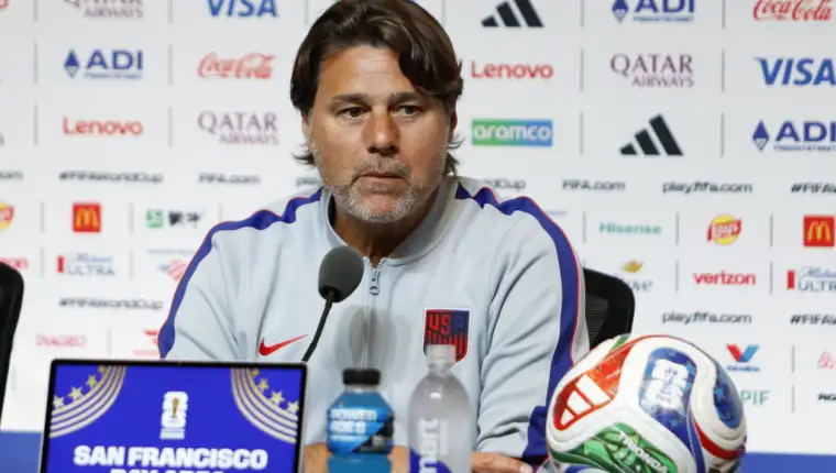 Pochettino fena