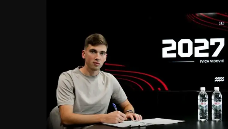 Vidovic zrinjski