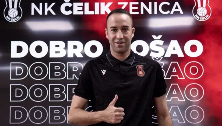 Savic celik