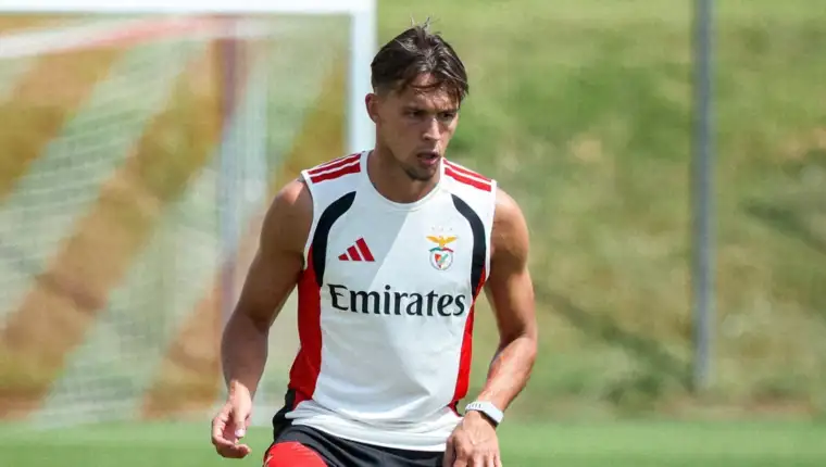 Dedic benfica 23