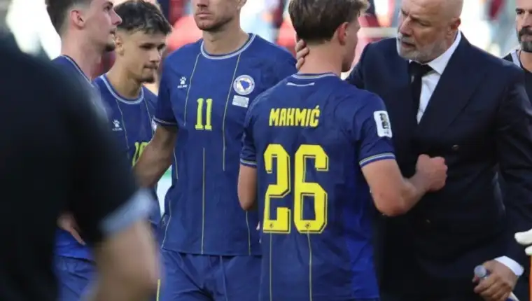 Dzeko sad