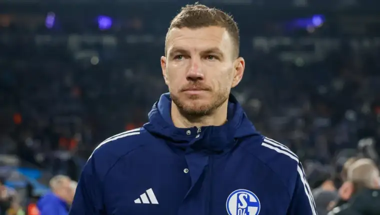 Dzeko 218321