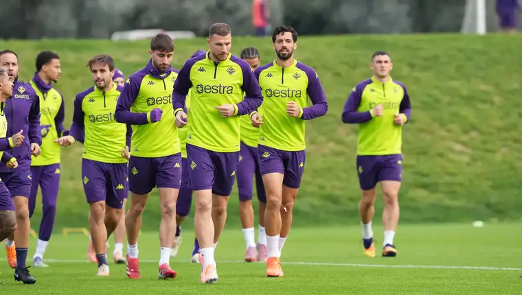 Fiorentina dzeko213