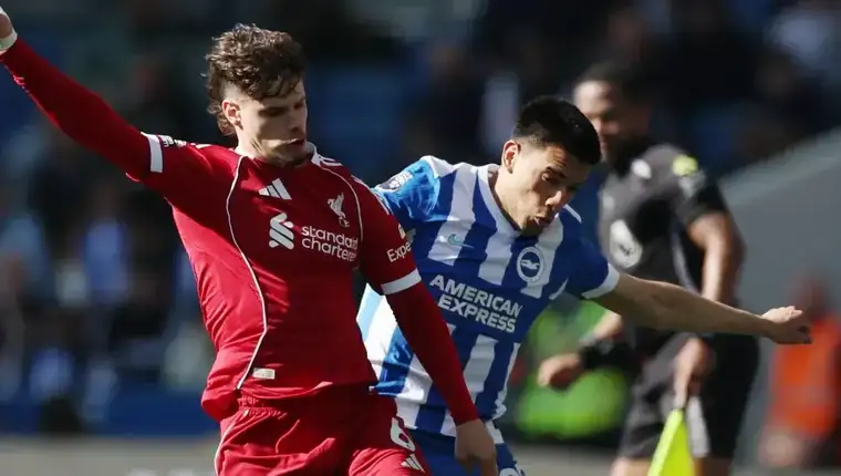 Liverpool brighton