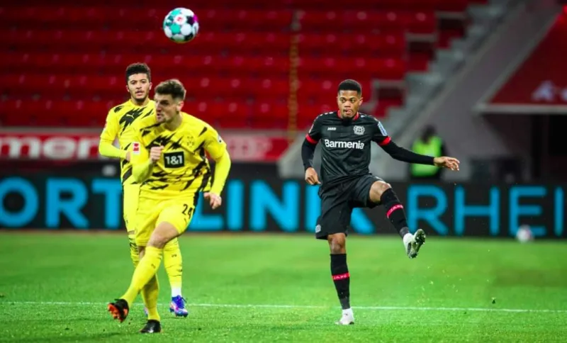 Bayer borussia