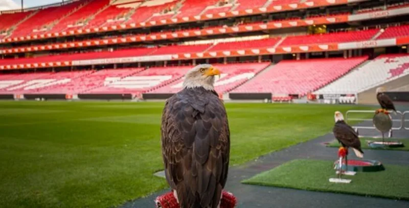 Benfica 1