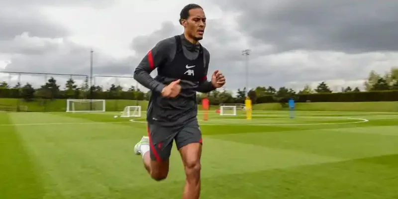 Vandijk 2