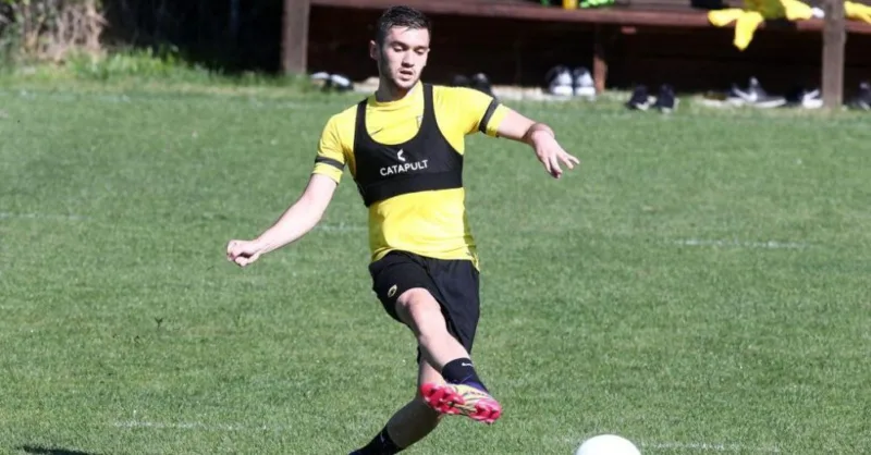 Sabanadzovic
