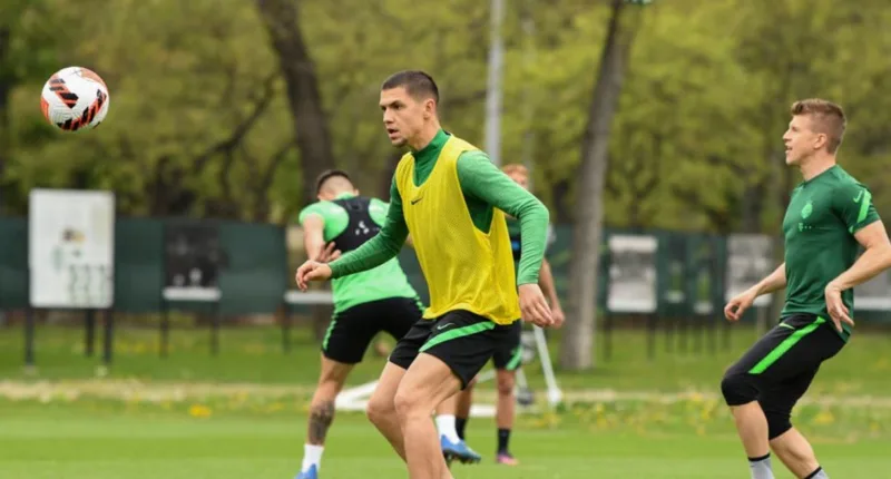 Besic 2