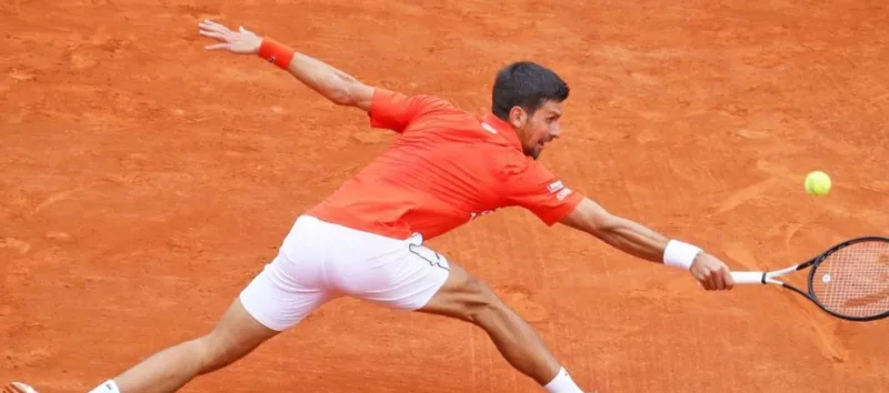 Nole 2 4