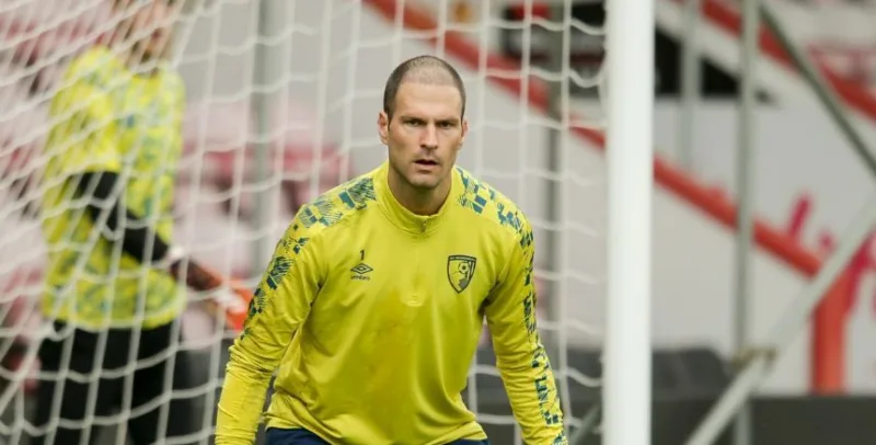 Begovic1 1