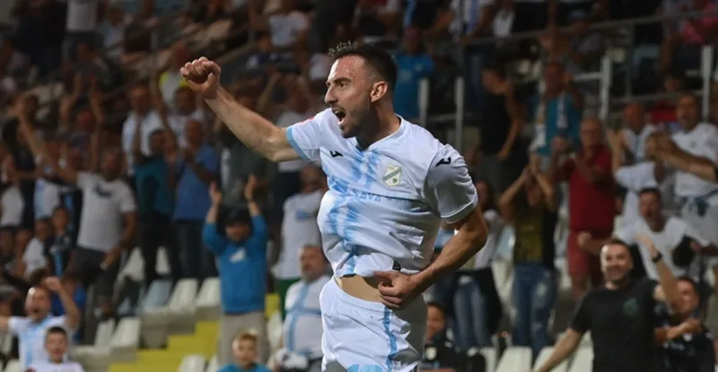 Drmic